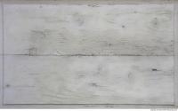 Photo Texture of Wood Planks 0003
